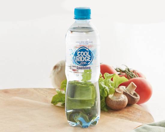 Sparkling Mineral Water 500mL