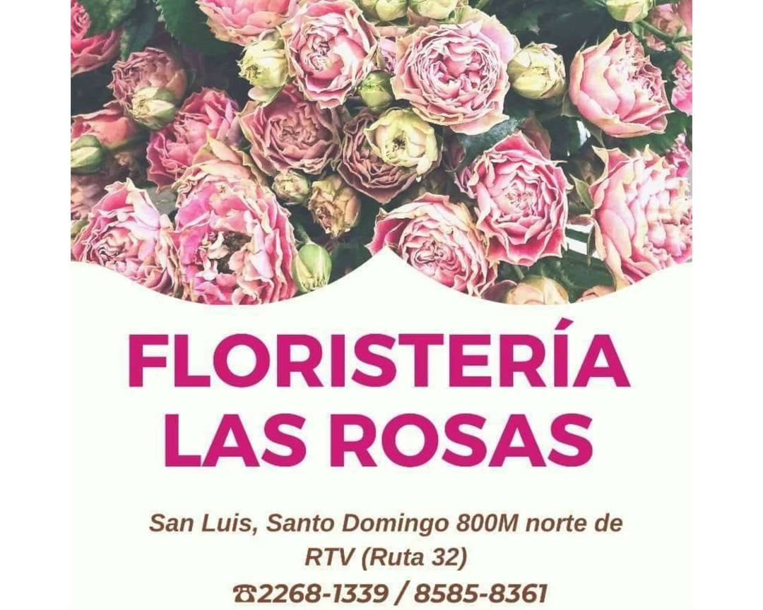 FLORISTERIA LAS ROSAS Delivery in Para | Menu & Prices | Uber Eats