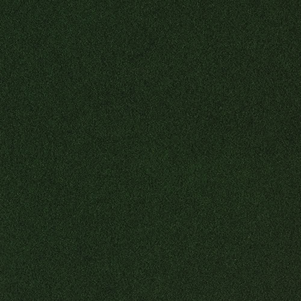 Style Selections Grizzly Grass Dark Green Green 19-oz sq yard Solution-dyed polyester Plush Indoor or outdoor Carpet