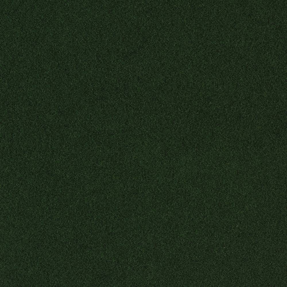 Style Selections Solution Dyed Polyester Plush Indoor & Outdoor Carpet, Dark Green