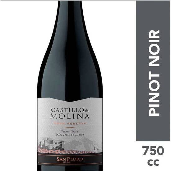 Castillo de molina vino pinot noir gran reserva (botella 750 ml)