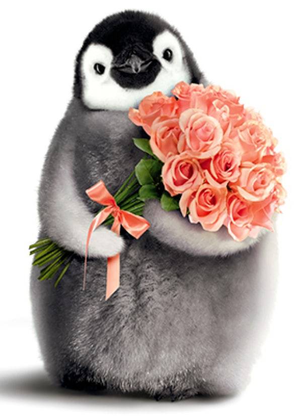 Avanti Card Bday Penguin With Flower Bou