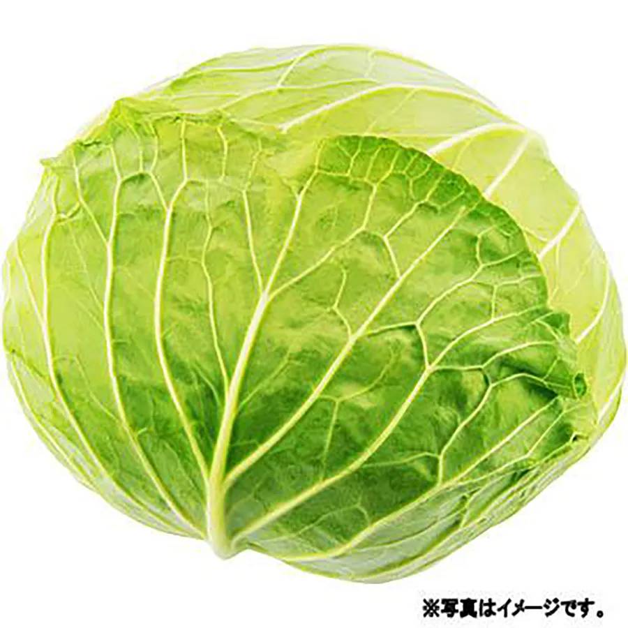 きゃべつ 1個