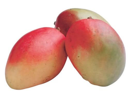 Mango Kiett Bulk