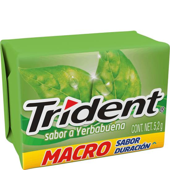 Trident chicles sabor a yerbabuena (5.2 g)
