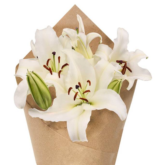 White Oriental Lily Bunch