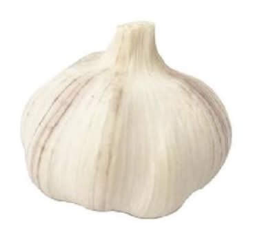 單顆蒜球40g