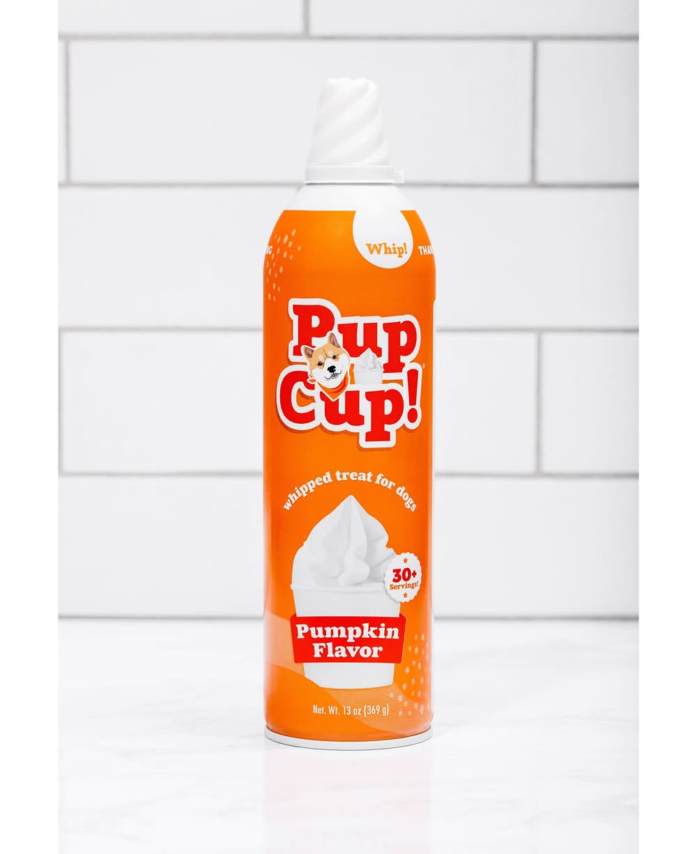 Pup Cup Frozen All Life Stage Dog Treat - Pumpkin (Flavor: Pumpkin, Size: 13 Oz)