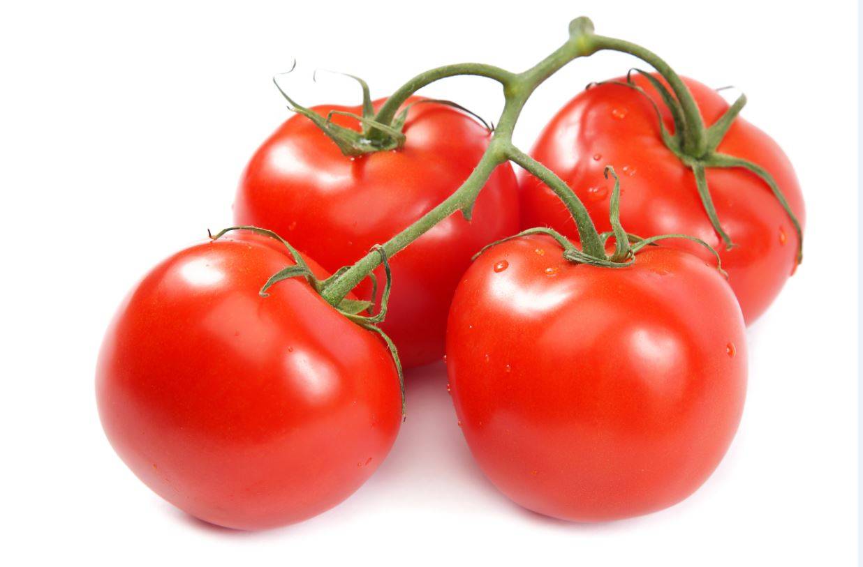 Stem Tomato, hot house grown, 11 lbs (1 Unit per Case)