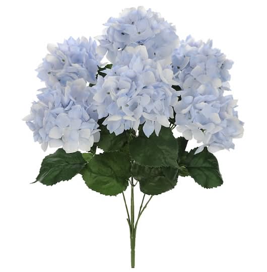 Ashland Hydrangea Bush, 23 in, Light Blue