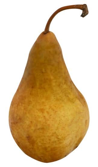 Pears Bosc