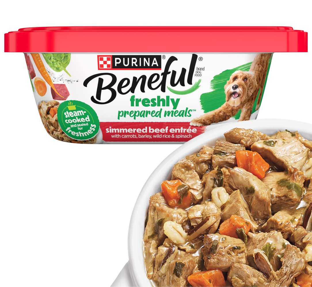Purina Beneful Freshly Prepared Meals Simmered Beef Entrée Dog Food (10 oz)