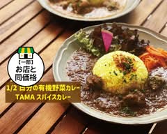 1/2日分の有機野菜カレー TAMAスパイスカレー