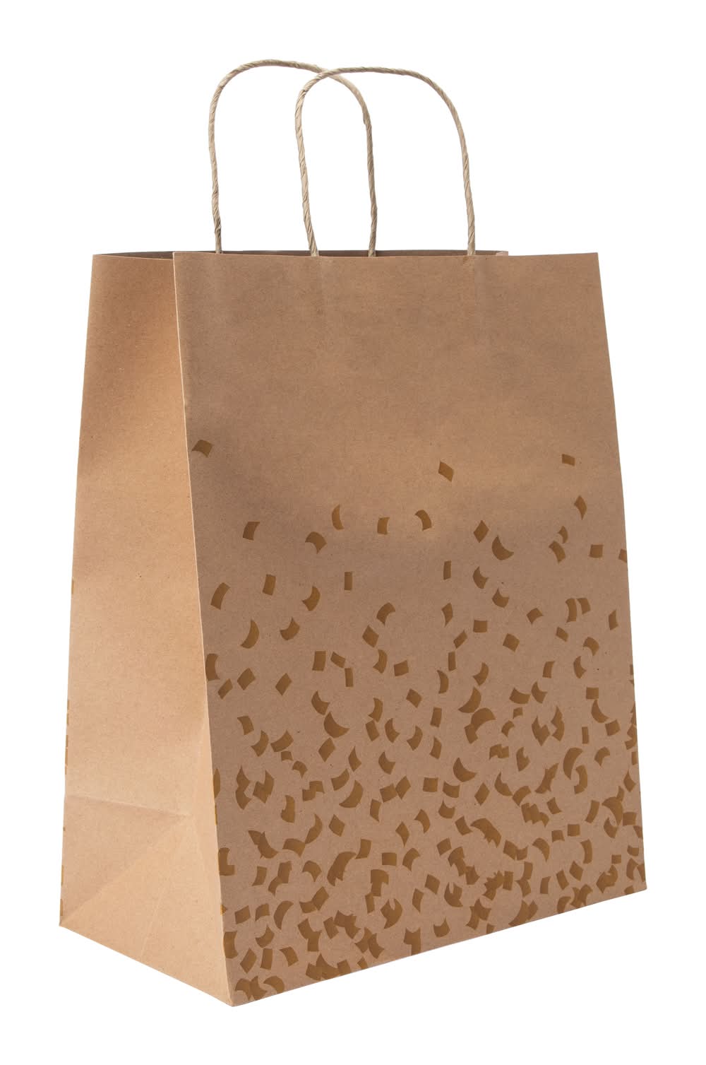 Large Kraft Gift Bags 5-Count Brown & White