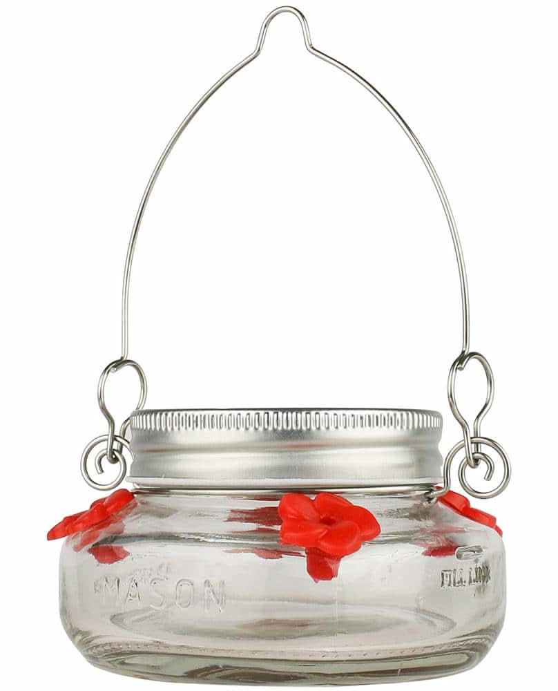 Wild Wings Mason Jar Glass Hummingbird Feeder