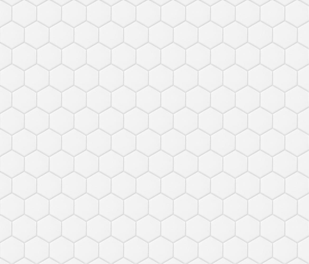 Satori Hudson Brilliant White 11-in x 12-in Matte Porcelain Hexagon Mosaic Floor and Wall Tile ( 0.93-sq ft Piece | 1001-0216-2