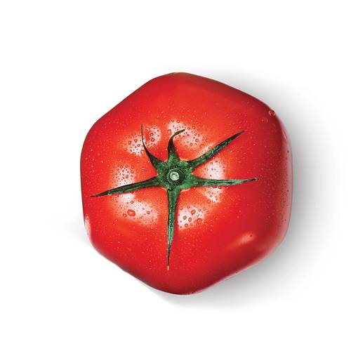 Hothouse Tomatoes Large 1-2 Count