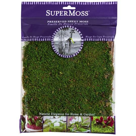 Super Moss Preserved Sheet Moss, 11" x 10" , Green