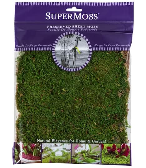 Super Moss Preserved Sheet Moss, 11" x 10" , Green
