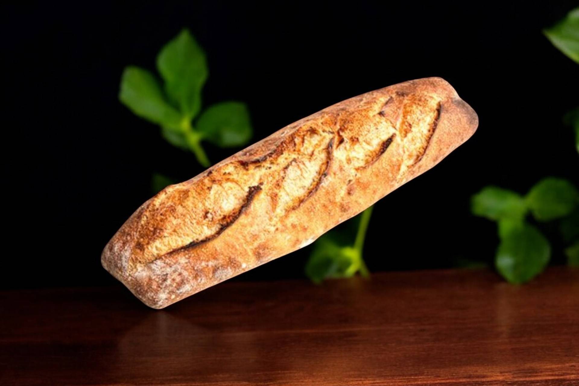 Baguette Tradition🥖