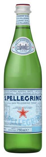 San Pellegrino Sparkling Water 500mL