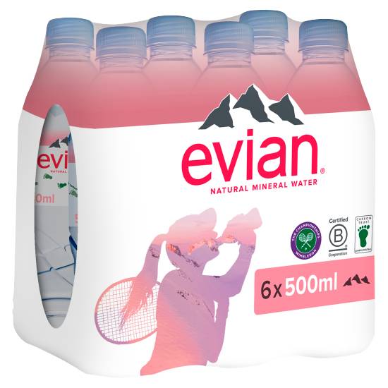 Evian Still Natural Mineral Water (6 x 500ml)