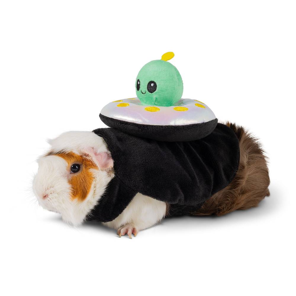 Thrills & Chills Alien Small Pet Costume