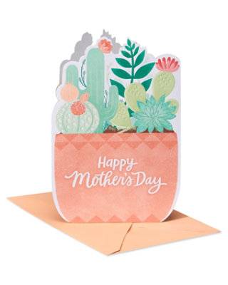 American Greetings Potted Succulent Mother’S Day Card - Each