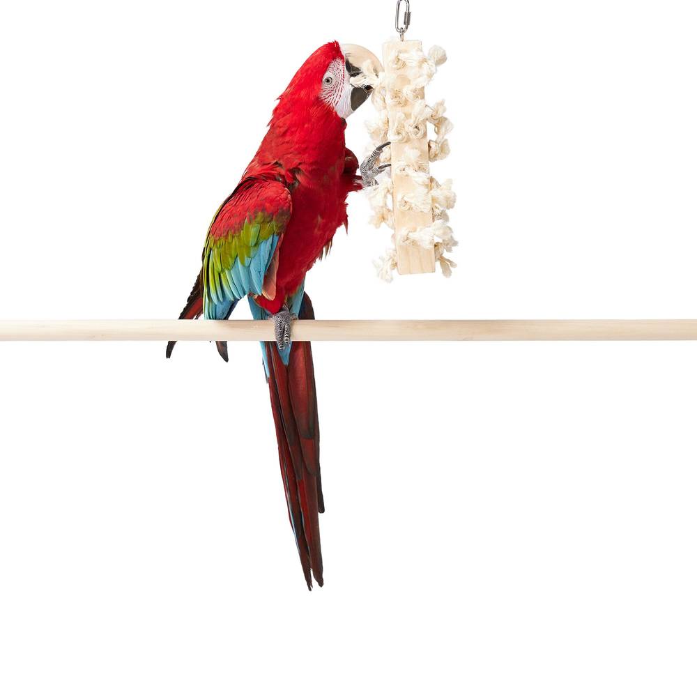 All Living Things® Natural Sisal Bird Toy (Size: Large)