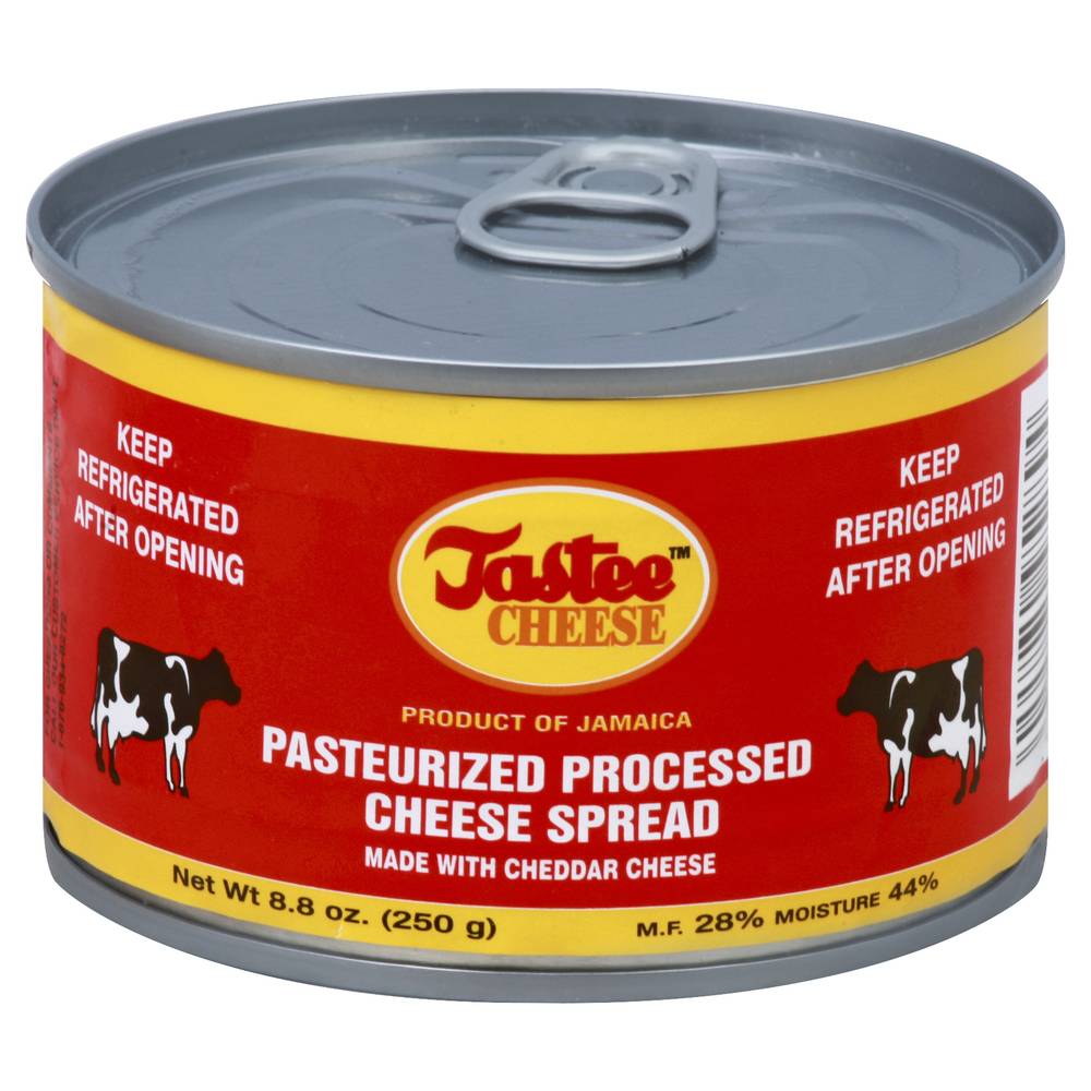 Tastee Cheese Pasteurized Processed Cheese Spread (8.8 oz)