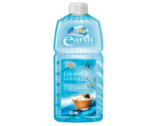 Earth Choice Top & Front Loader 1L