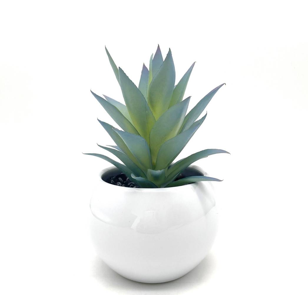 Nearly Natural 5-in Green Indoor Succulent Artificial Plant | P1937-LW