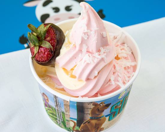 Small Frozen Yogurt (8 oz)