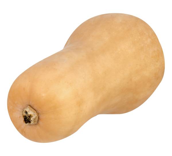 Butternut Squash