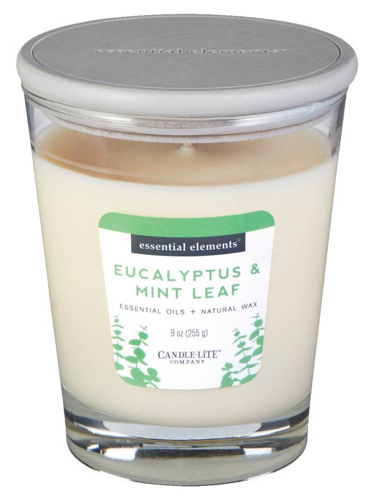 Candle-lite Eucalyptus & Mint Leaf Candle (260 g)