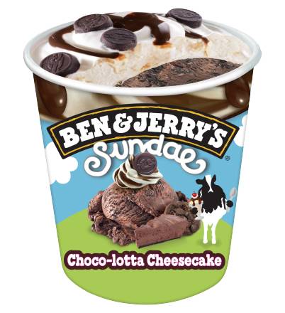 Ben & Jerry's Sundae Ice Cream, Chocolatta Cheesecake (14.4 fl oz)