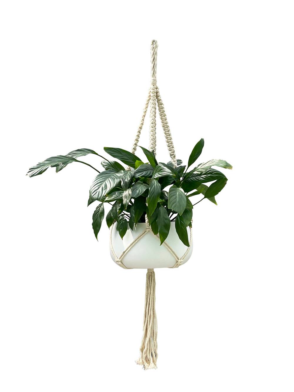 allen + roth 1.4-in White Macrame Plant Hook(s) | LWO21-108A