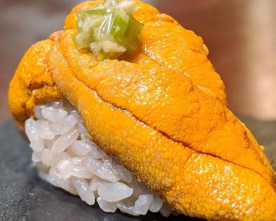 Sea Urchin (Santa Barbara Uni)