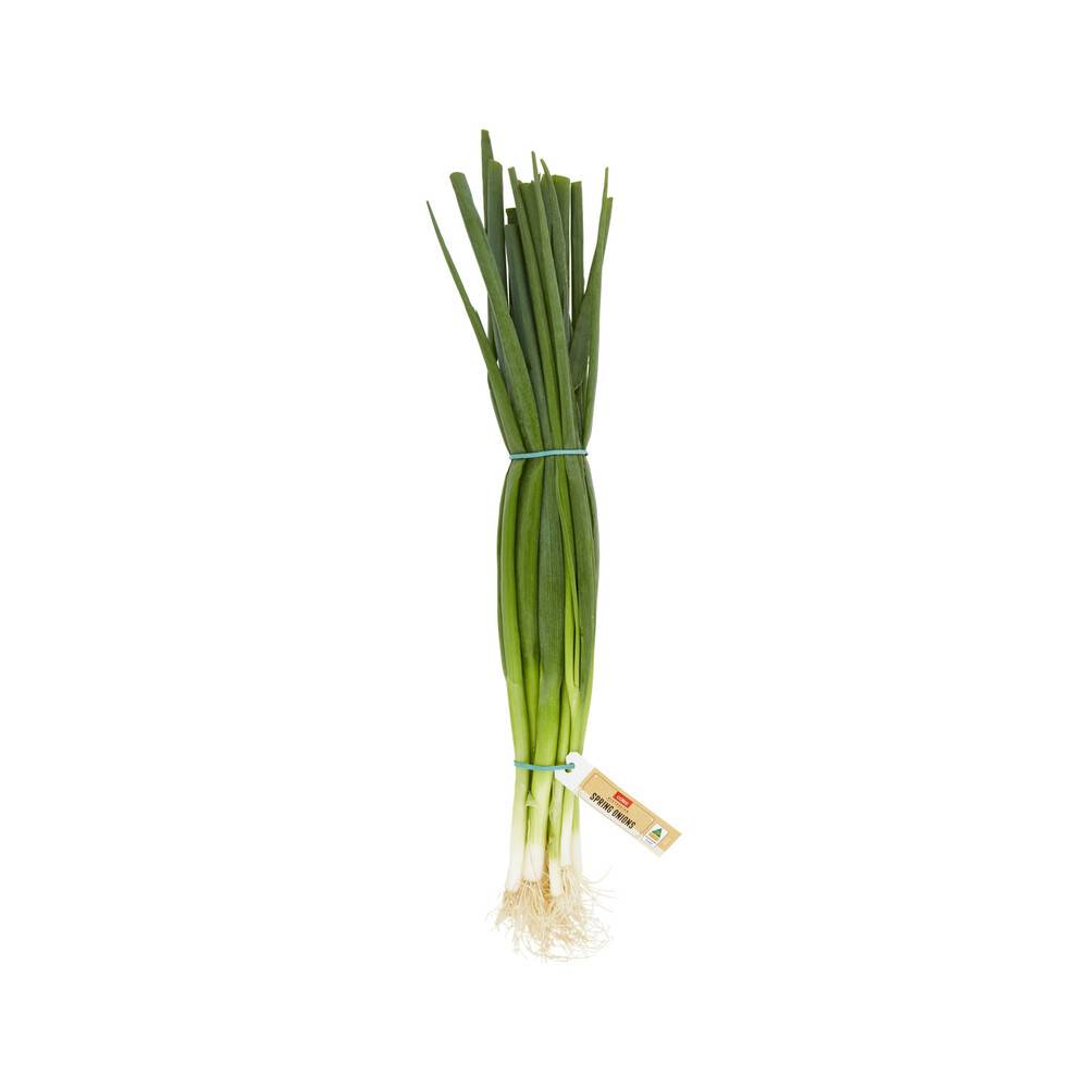 Coles Spring Onions 1 Bunch