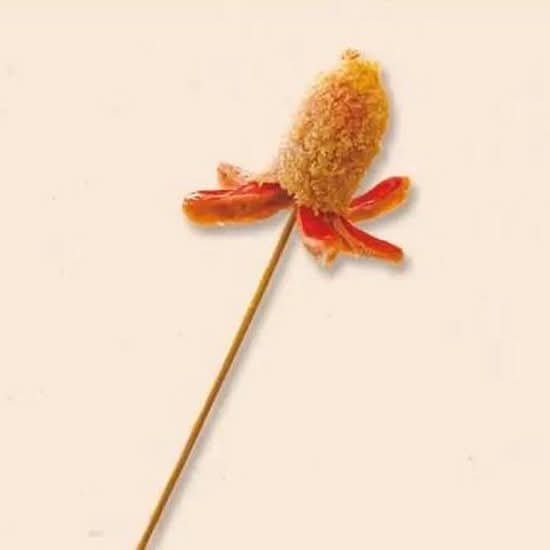 タコウィンナー