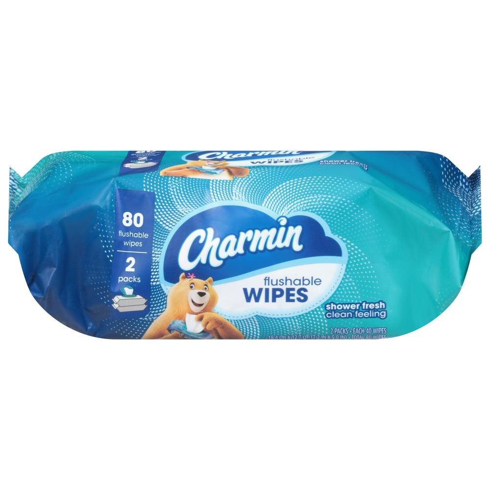 Charmin Flushable Wipes (2 pack)