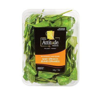 Fresh Attitude · Jeunes épinards (142 g) - Baby spinach (142 g)