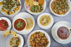 Fuego Cravings (Highland)
