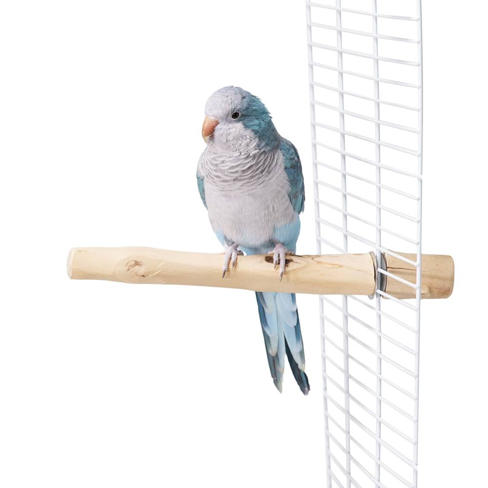 All Living Things® Java Wood Bird Perch (Size: 10 In)