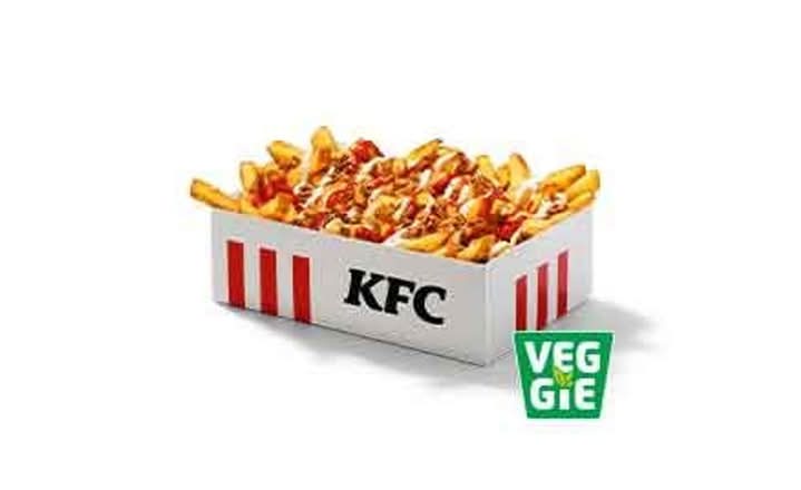 Kebab Style Fries