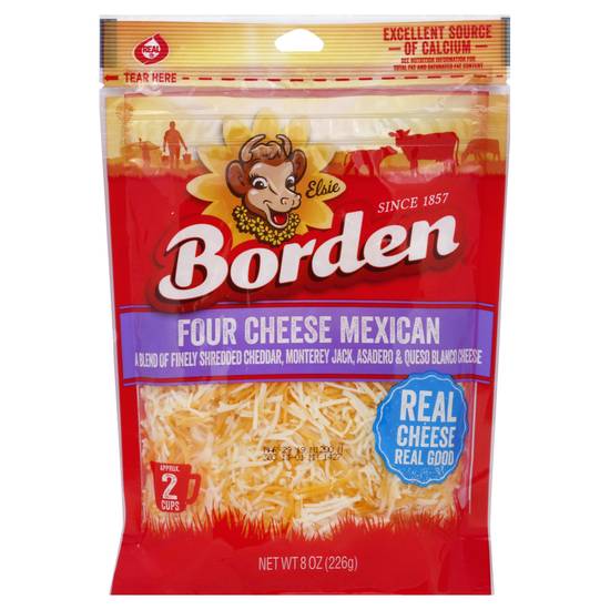 Borden Four Cheese Mexican