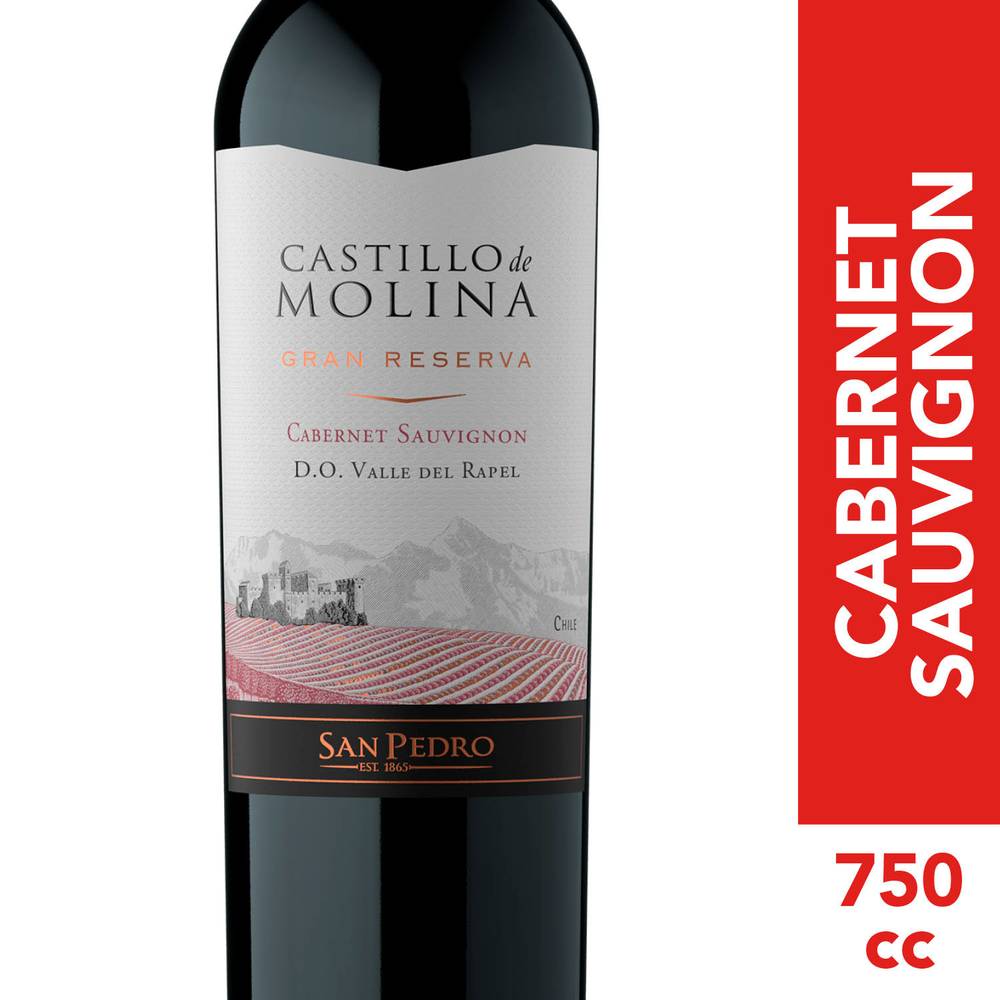 Castillo de molina vino cabernet sauvignon gran reserva (botella 750 ml)