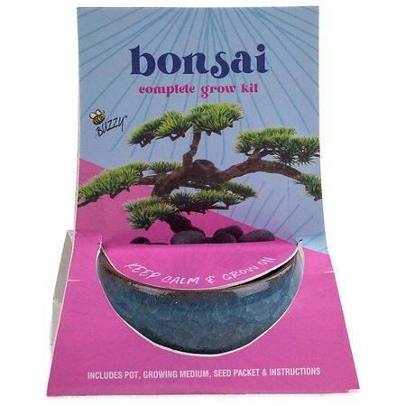 Buzzy Bonsai Ceramic Grow Kit