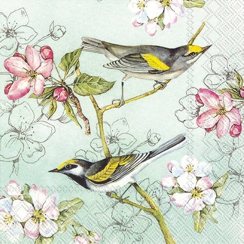 Package of 20 Birds Symphony Table Napkins