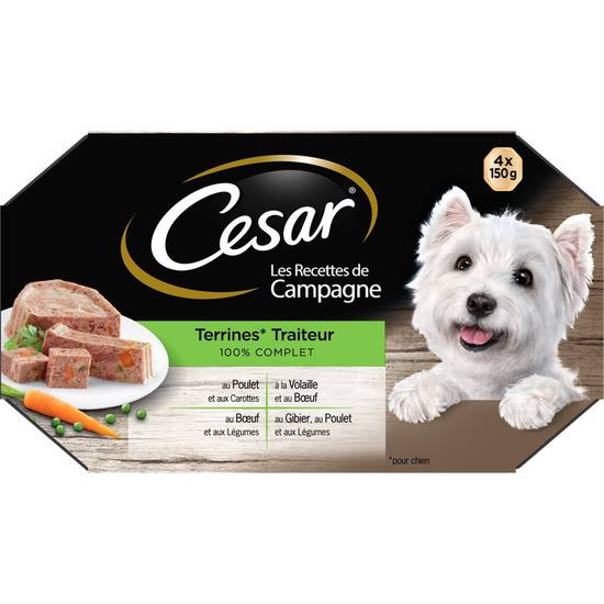Pâtée pour chien assortiment Cesar 4 x 150g